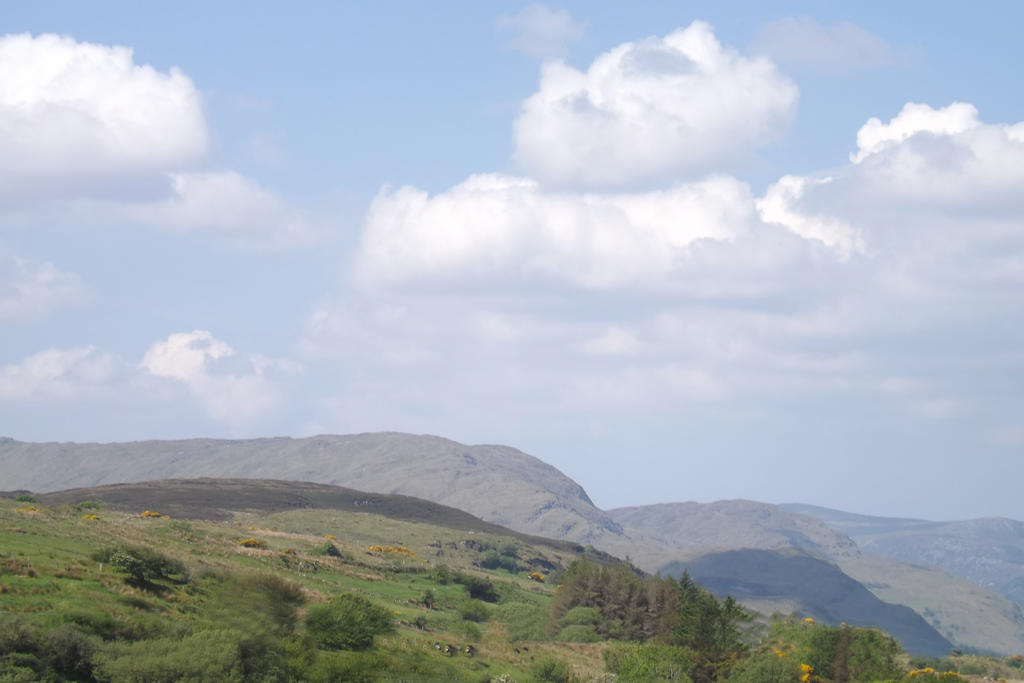 Gort Na Mona Ardara